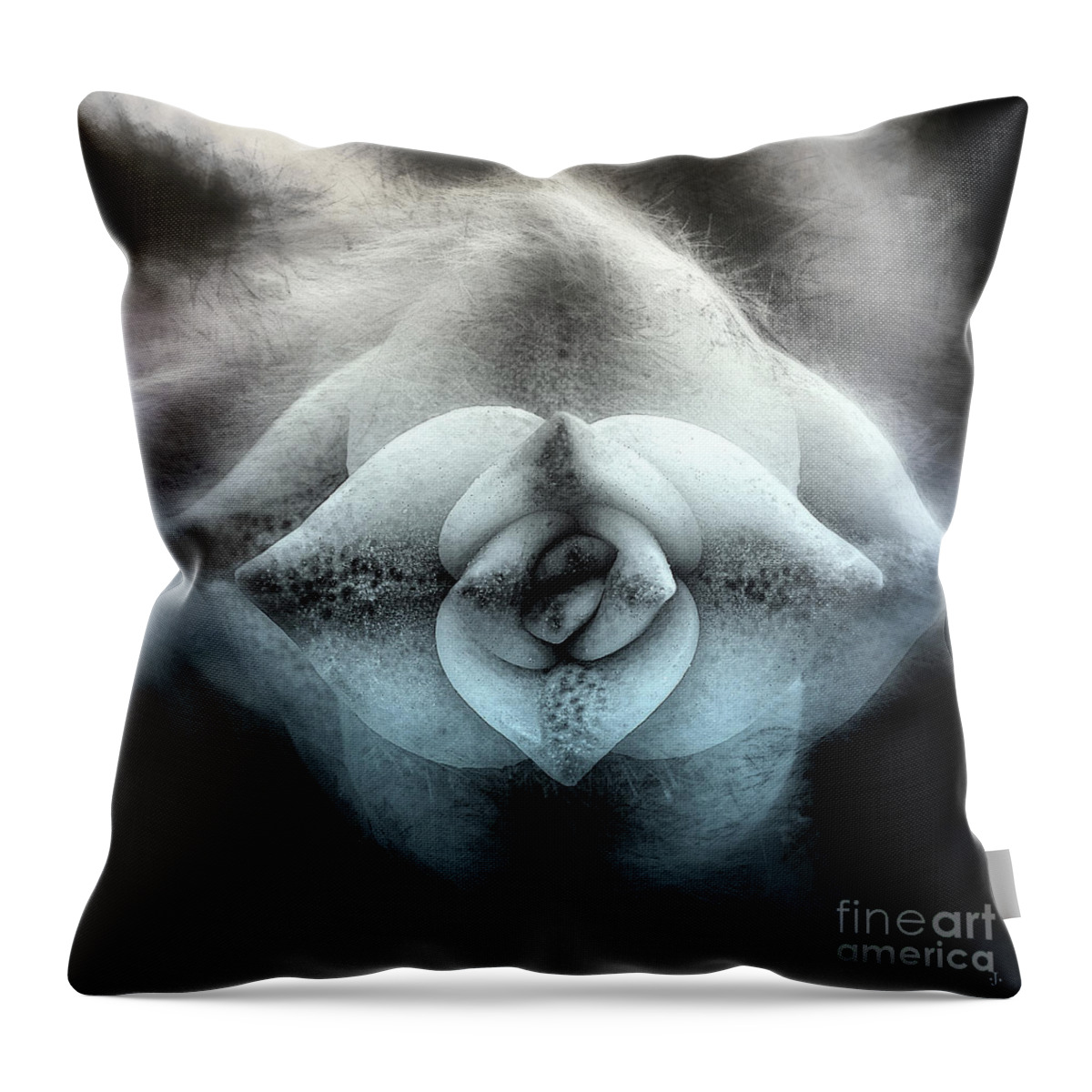 Fine Art Photography Throw Pillow featuring the photograph Drifting to Eternity by John Strong
