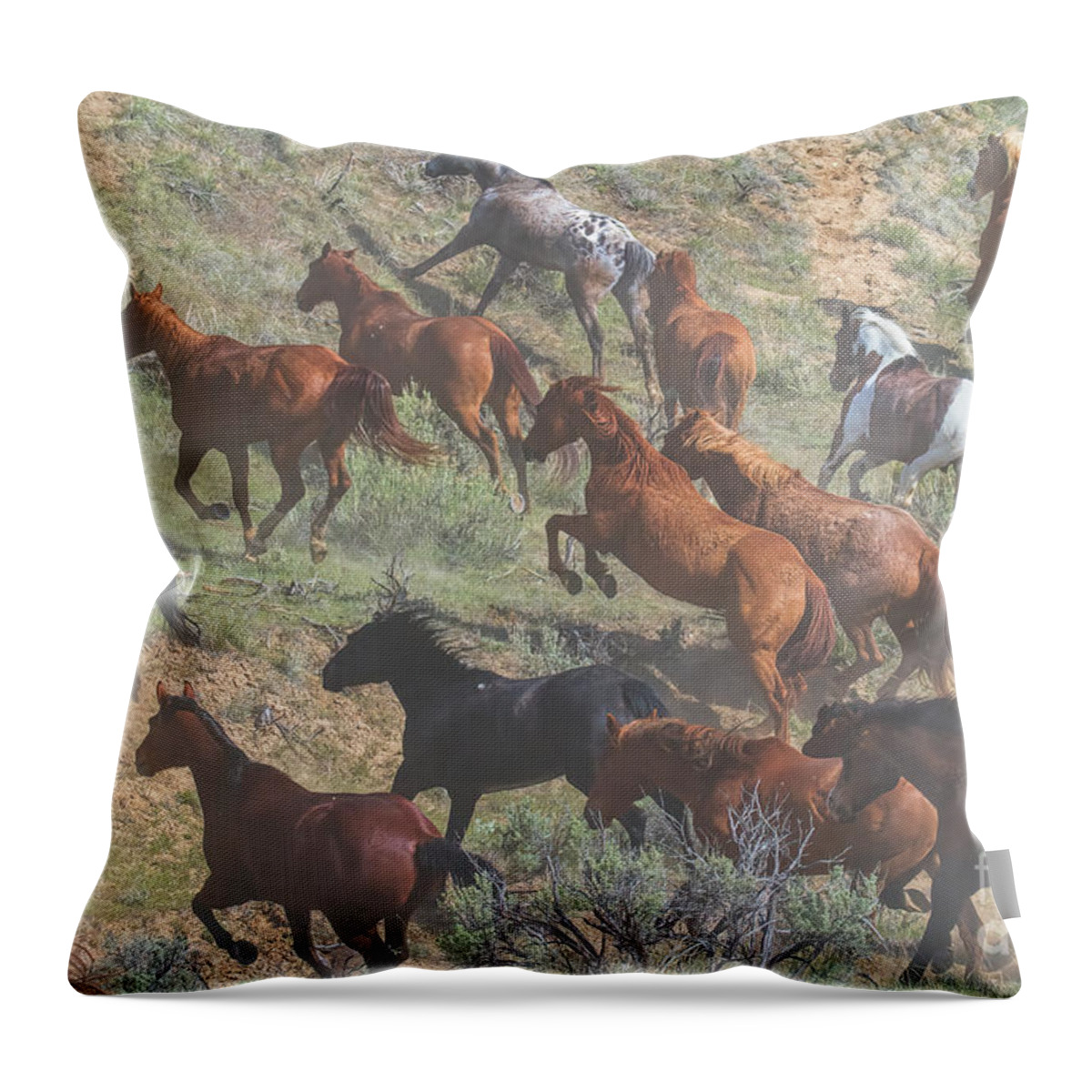 Running Horses Throw Pillow featuring the photograph Dust in the Wind by Jim Garrison