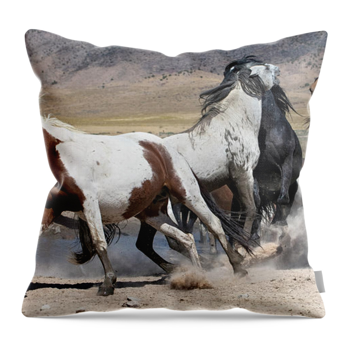 Stallion Throw Pillow featuring the photograph Dust-up. by Paul Martin