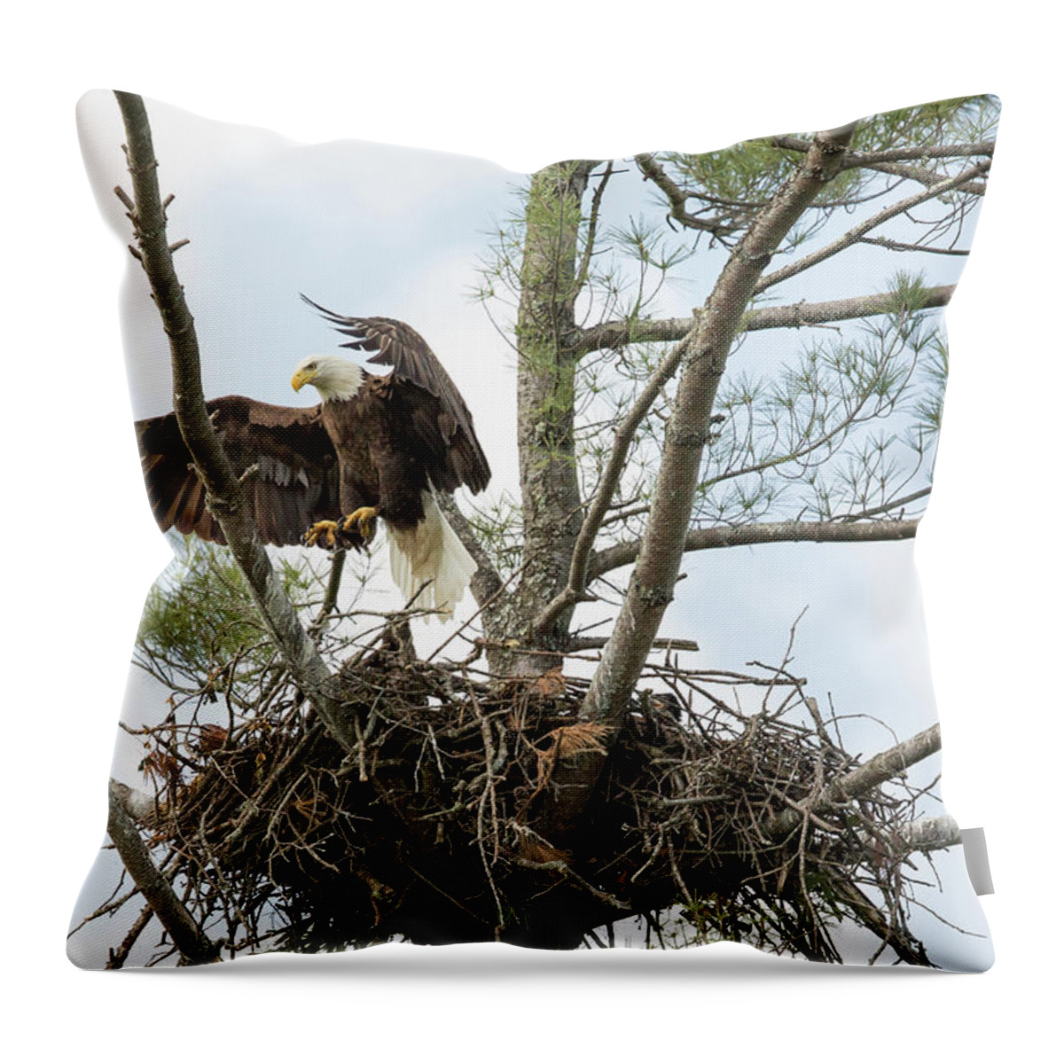 Wildlife Throw Pillow featuring the photograph Eagle Landing by Doug McPherson