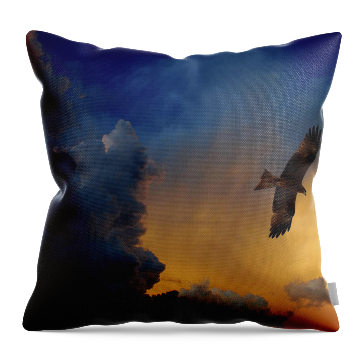 Animal Themes Throw Pillow featuring the photograph Eagle Over The Top by Gopan G Nair