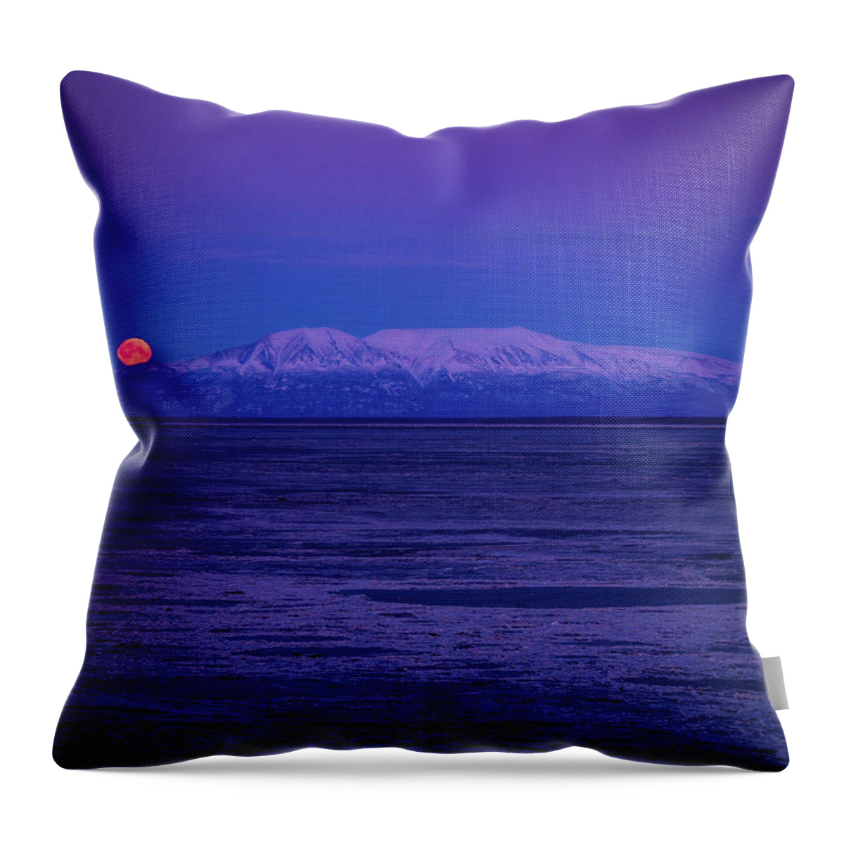 blue blood pillow