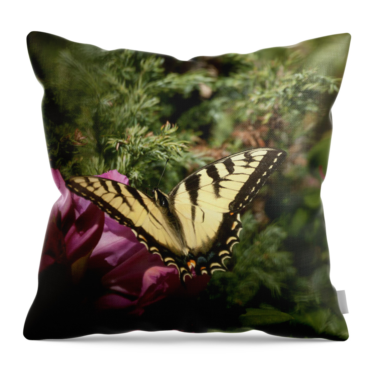 Eastern Tiger Swallowtail Throw Pillow featuring the photograph Eastern Tiger Swallowtail on rhododendron by Jeff Folger