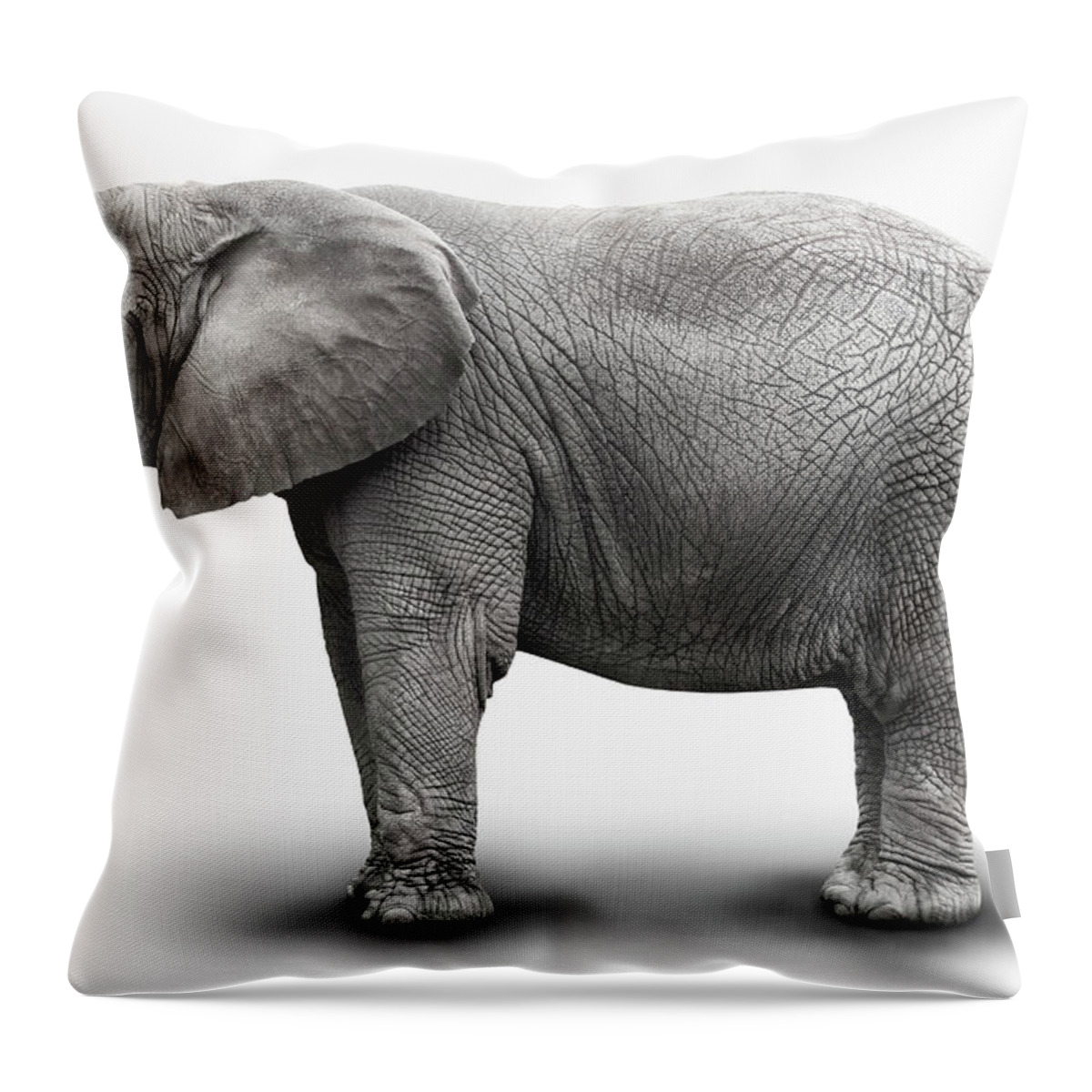 Toughness Throw Pillow featuring the photograph Elephant by Burazin