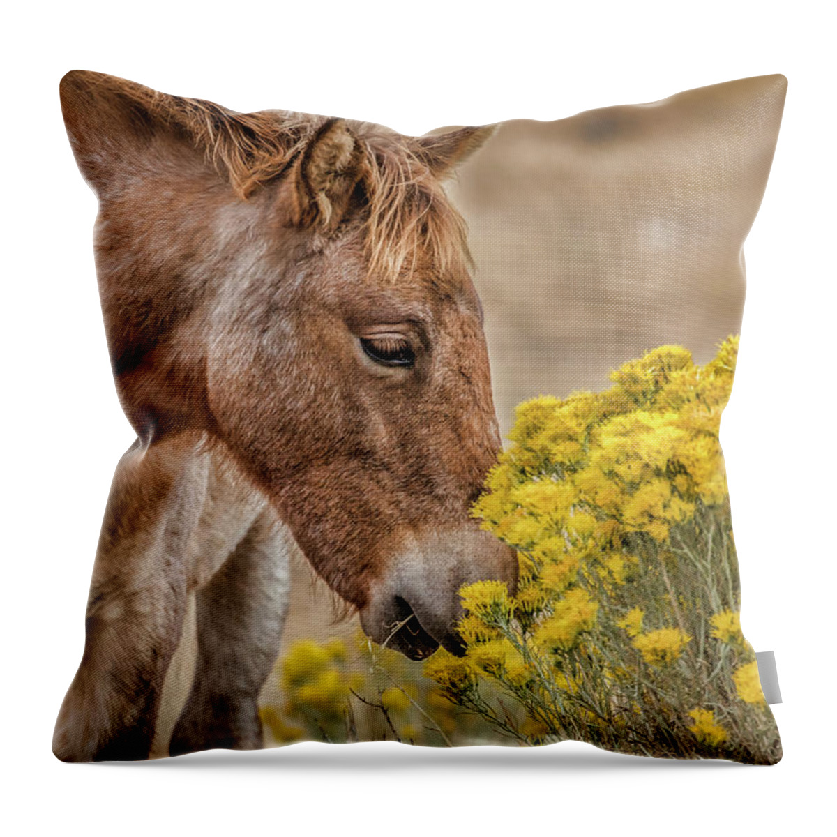  Throw Pillow featuring the photograph Emmie bloom by John T Humphrey