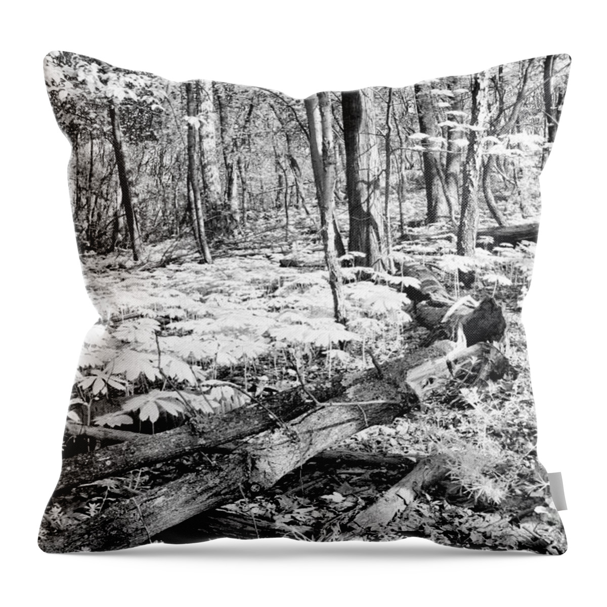 Spring Throw Pillow featuring the photograph Enchanted Forest by Steve Ember
