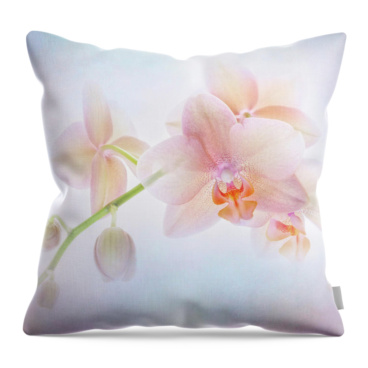 Anemone Throw Pillow featuring the photograph Enlightment. by Usha Peddamatham