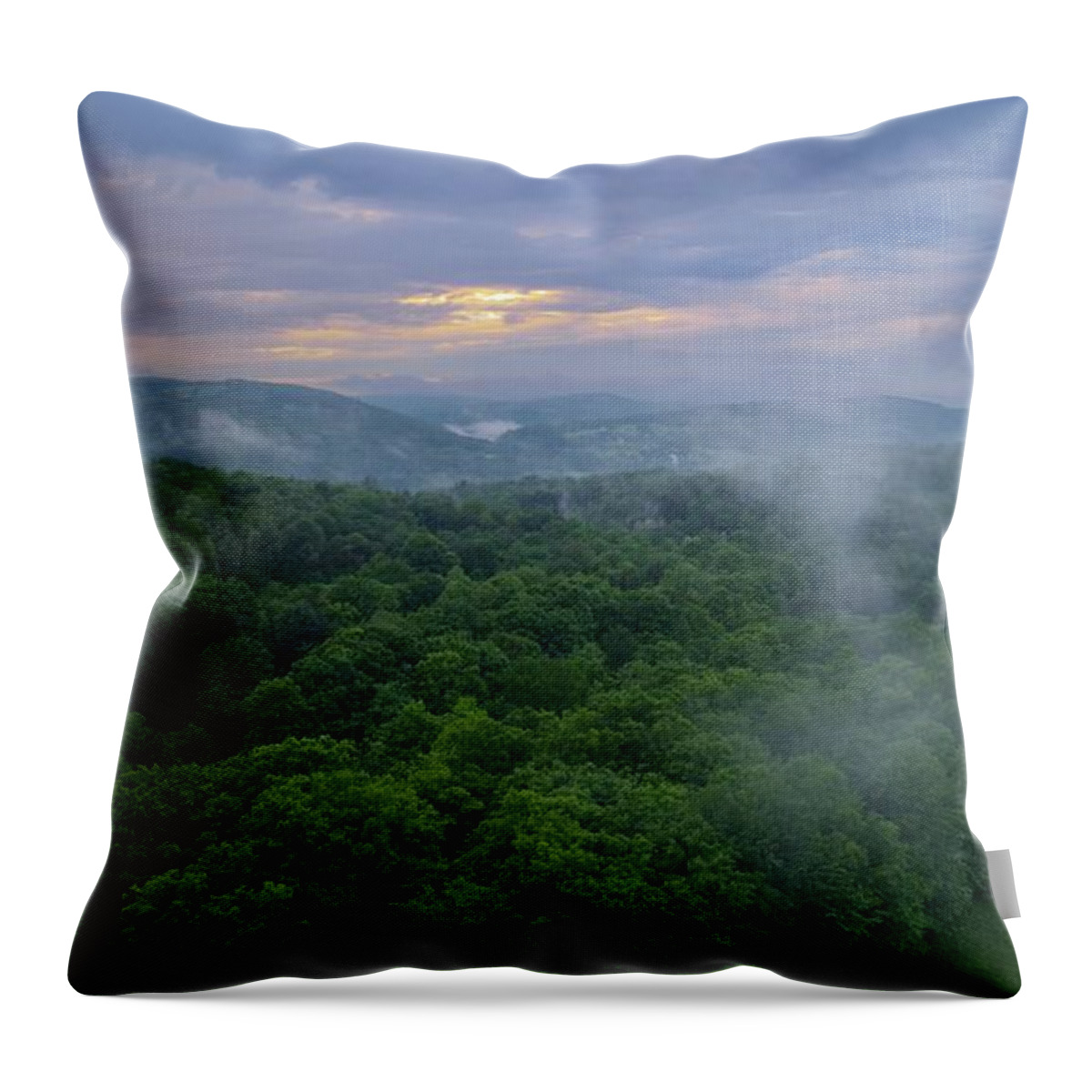 Fog Throw Pillow featuring the photograph F O G by Anthony Giammarino