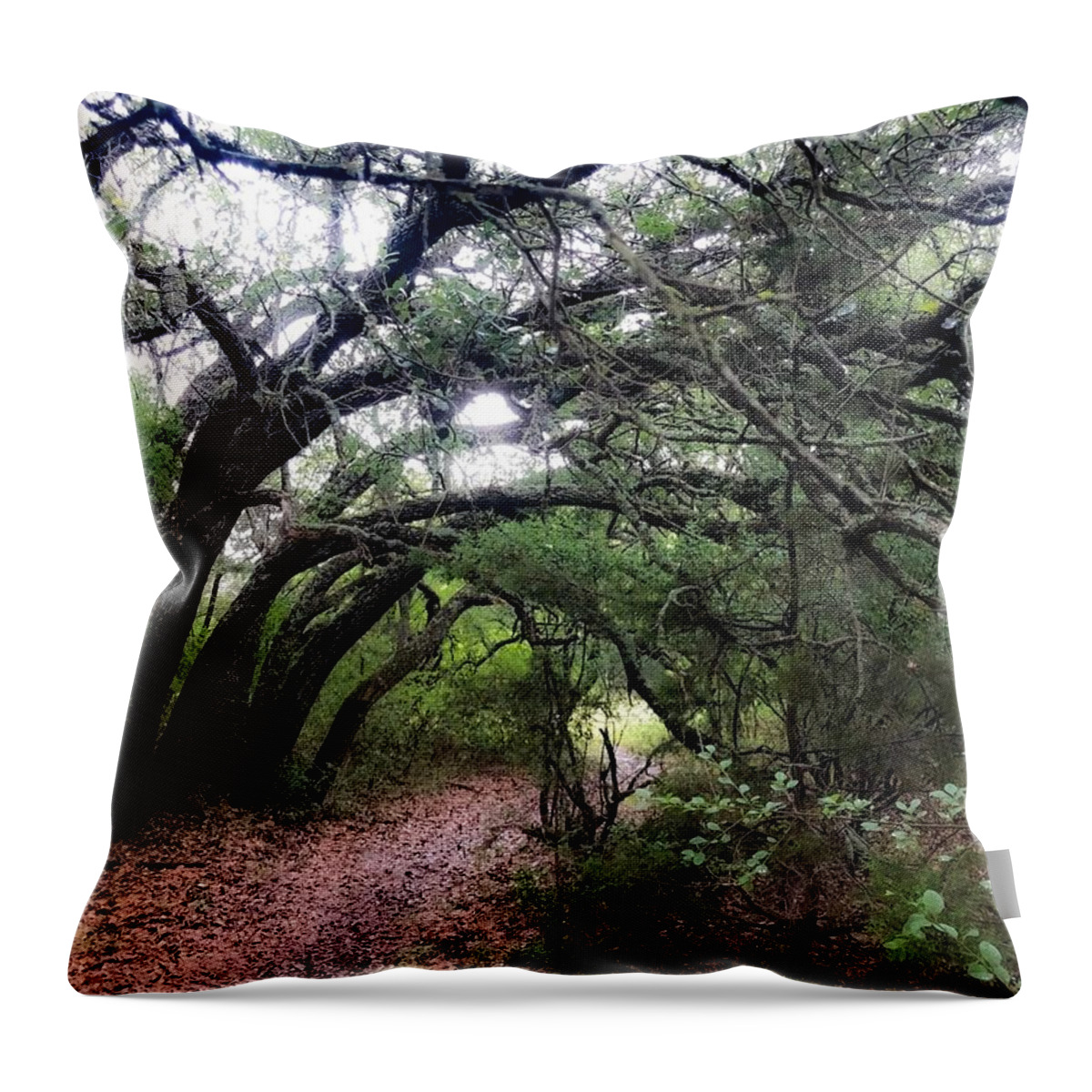 Landscape Throw Pillow featuring the photograph Fairytale Lane by Kelly Thackeray