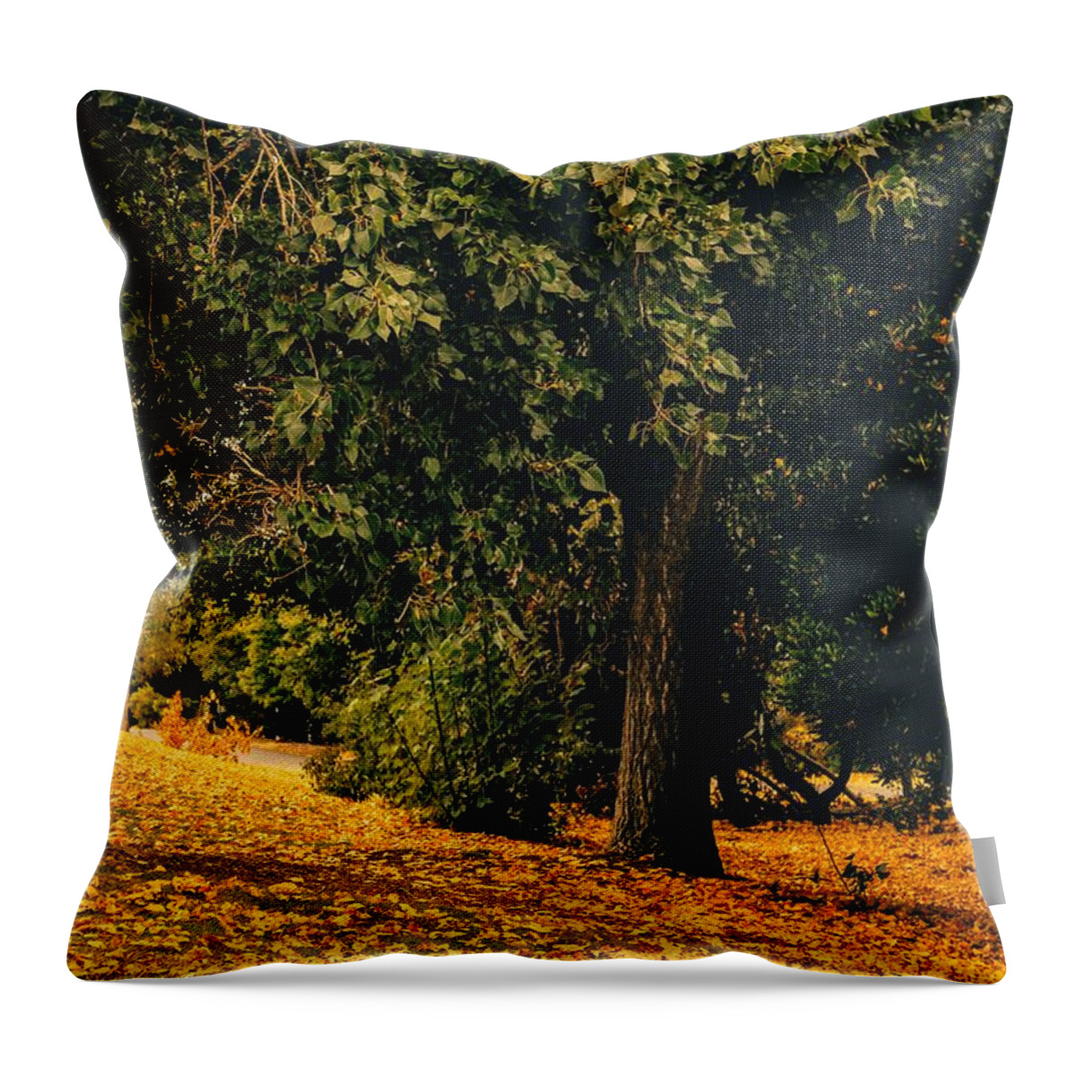 Fall Throw Pillow featuring the photograph Fall by Anamar Pictures