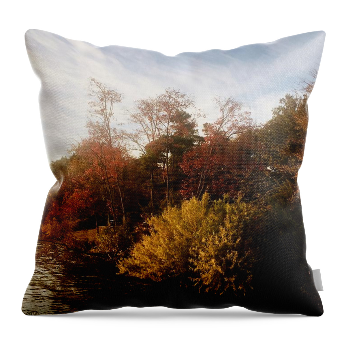 Fall Throw Pillow featuring the photograph Fall Colors by Kelly Thackeray