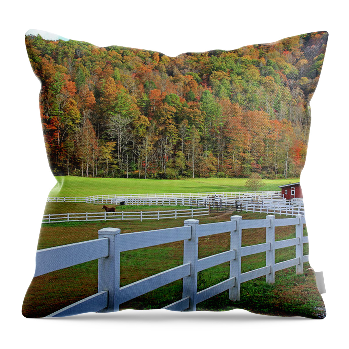 Fall Throw Pillow featuring the photograph Fall in North Georgia by Richard Krebs