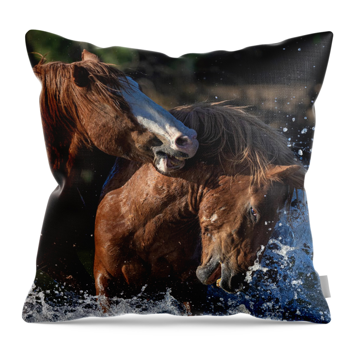 Stallion Throw Pillow featuring the photograph Family Feud. by Paul Martin