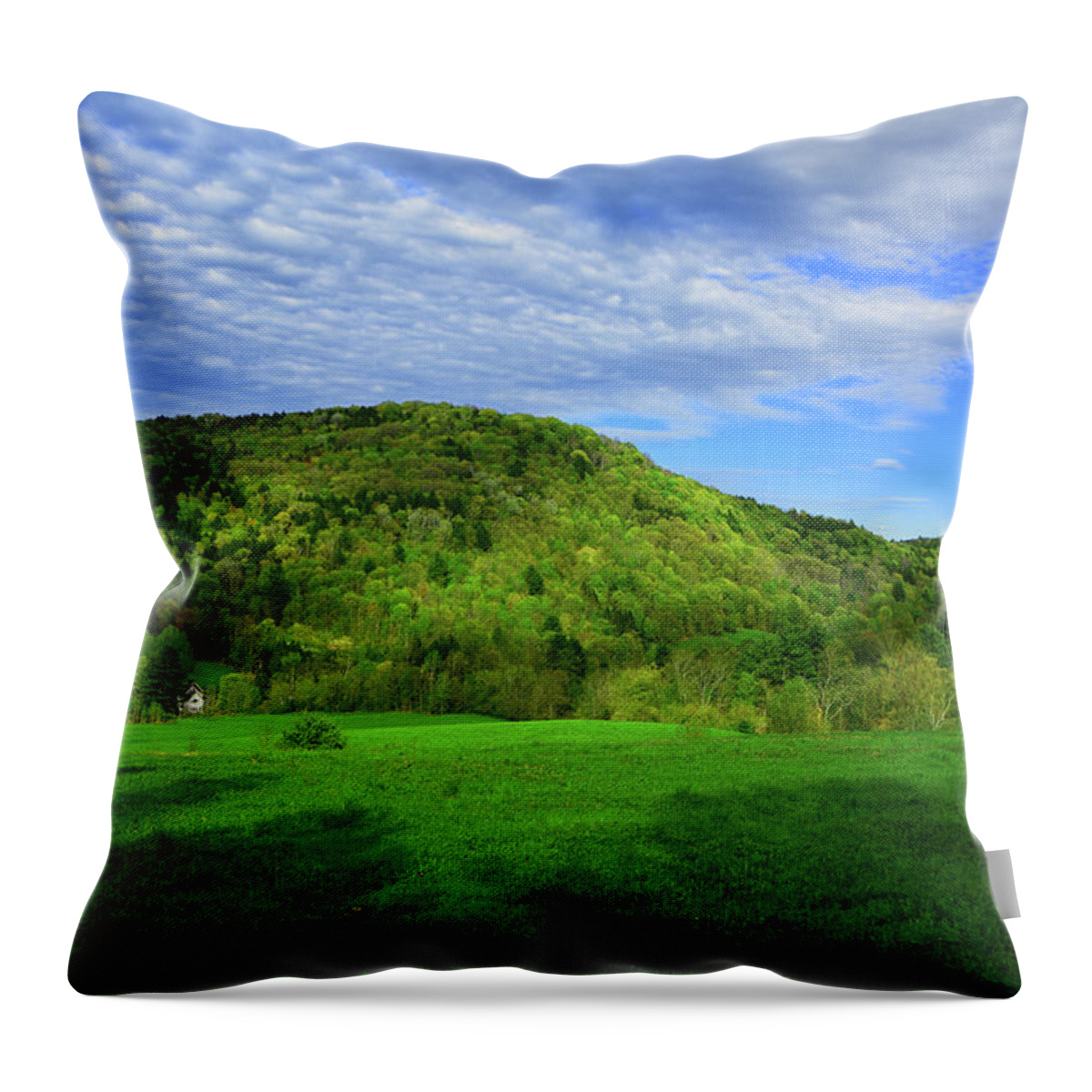 Farm Below On The Vt At Throw Pillow featuring the photograph Farm Below on the VT AT by Raymond Salani III