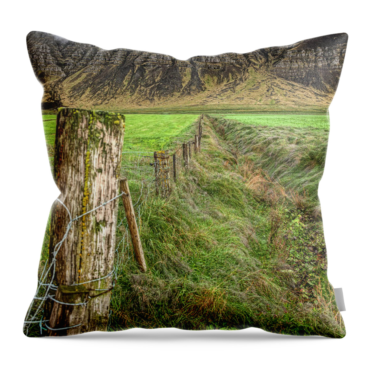 Iceland Throw Pillow featuring the photograph Fence of Iceland by David Letts