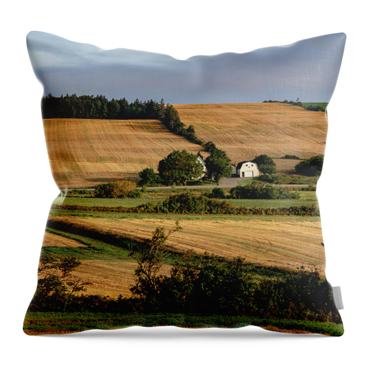 Pei Throw Pillow featuring the photograph Fields and Farms Patchwork by Marcy Wielfaert