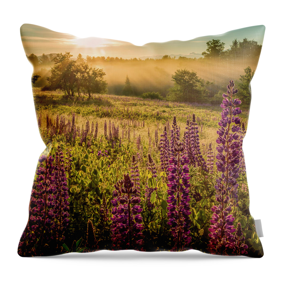 Amazing New England Artworks Throw Pillow featuring the photograph Fields Of Lupine by Jeff Sinon