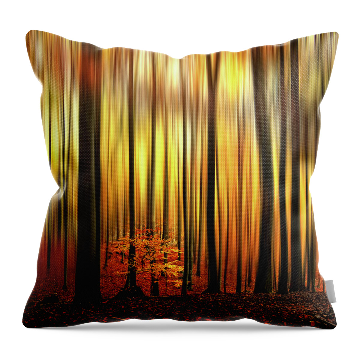 Forest Throw Pillow featuring the photograph Firewall by Philippe Sainte-Laudy