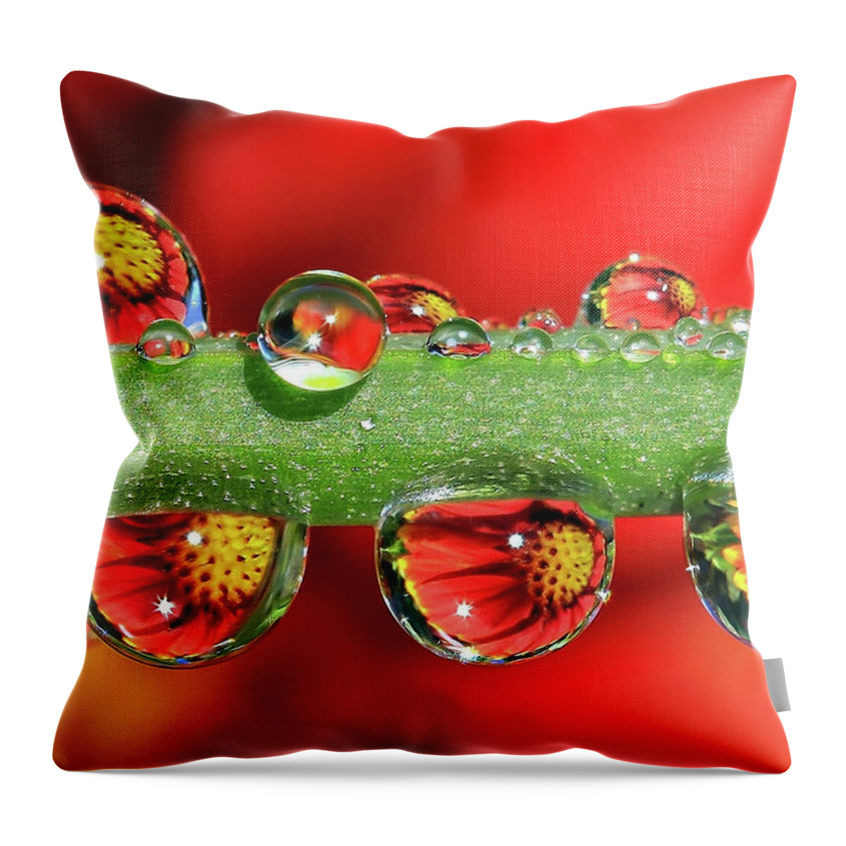 Water Drops Throw Pillow featuring the photograph Firey Drops by Gary Yost