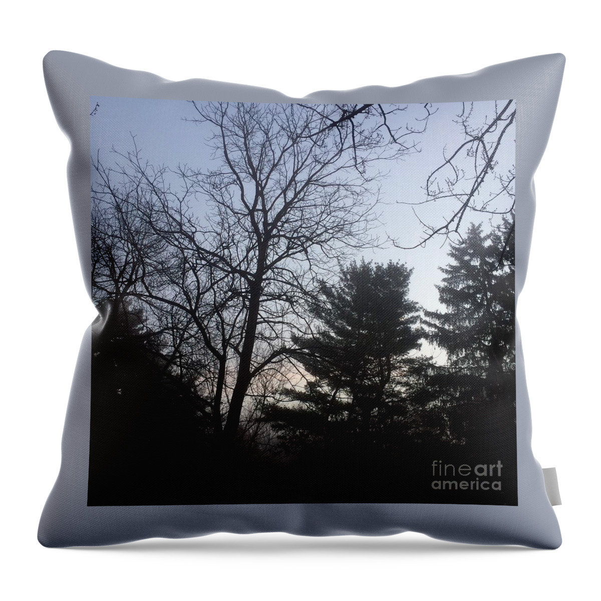 Nature Throw Pillow featuring the photograph First Light and Fog by Frank J Casella