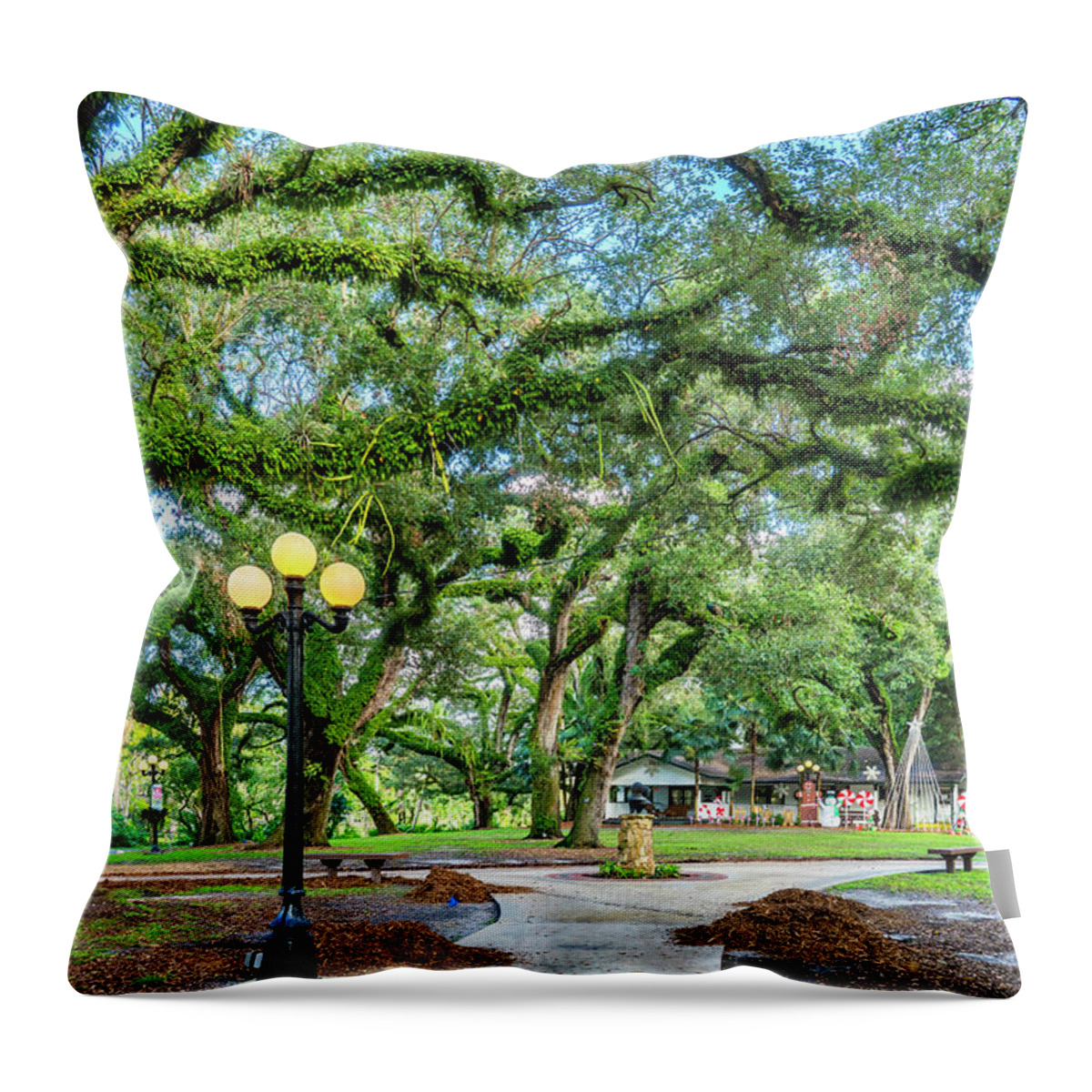Estock Throw Pillow featuring the digital art Flamingo Gardens In Davie Florida by Laura Zeid