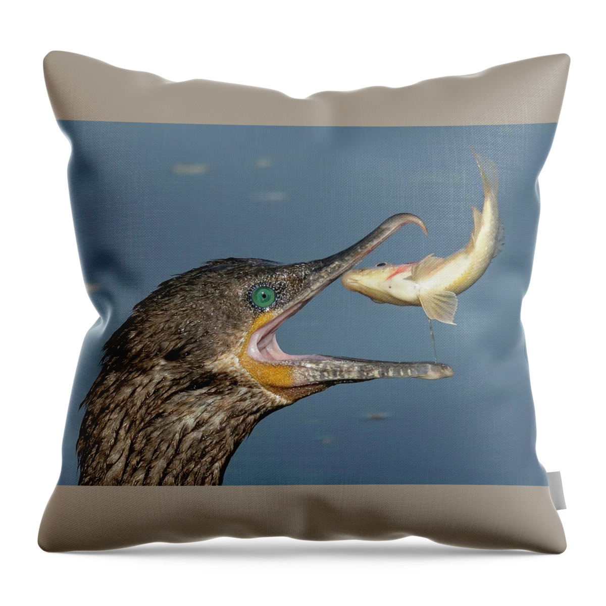 Cormorant Throw Pillow featuring the photograph Flipping Fish. by Paul Martin