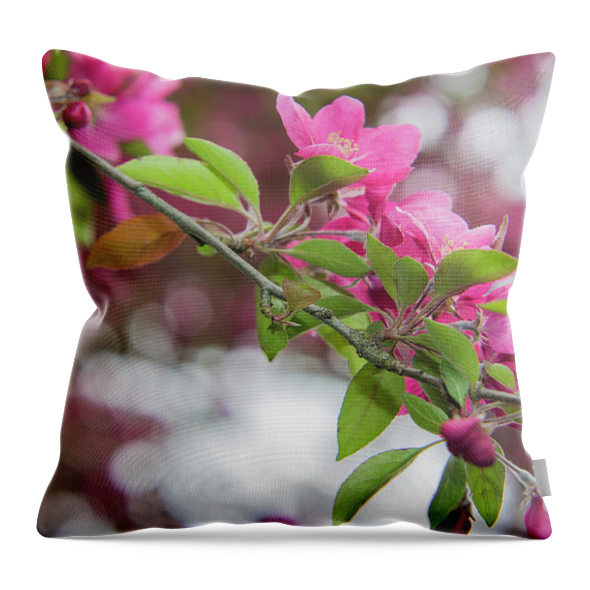Flowers Throw Pillow featuring the photograph Flower divider by Agnes Caruso