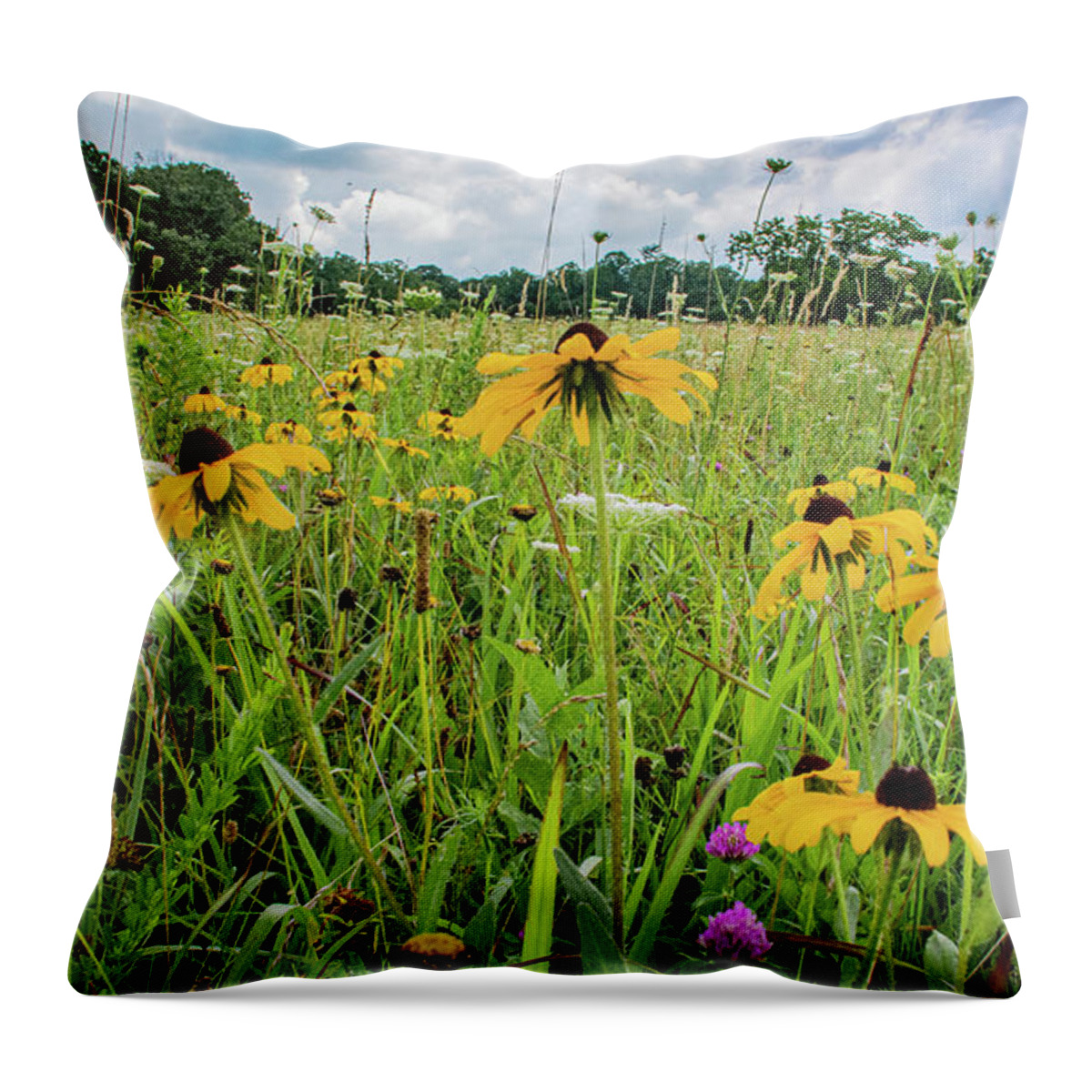 Clover Throw Pillow featuring the photograph Flowers of the Field, Cades Cove by Marcy Wielfaert