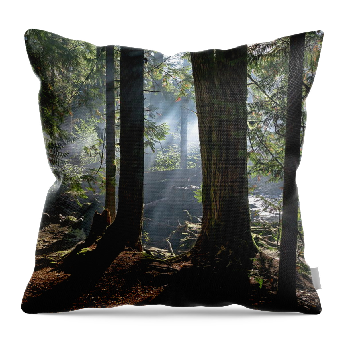 Alex Lyubar Throw Pillow featuring the photograph Foggy morning in the forest by Alex Lyubar