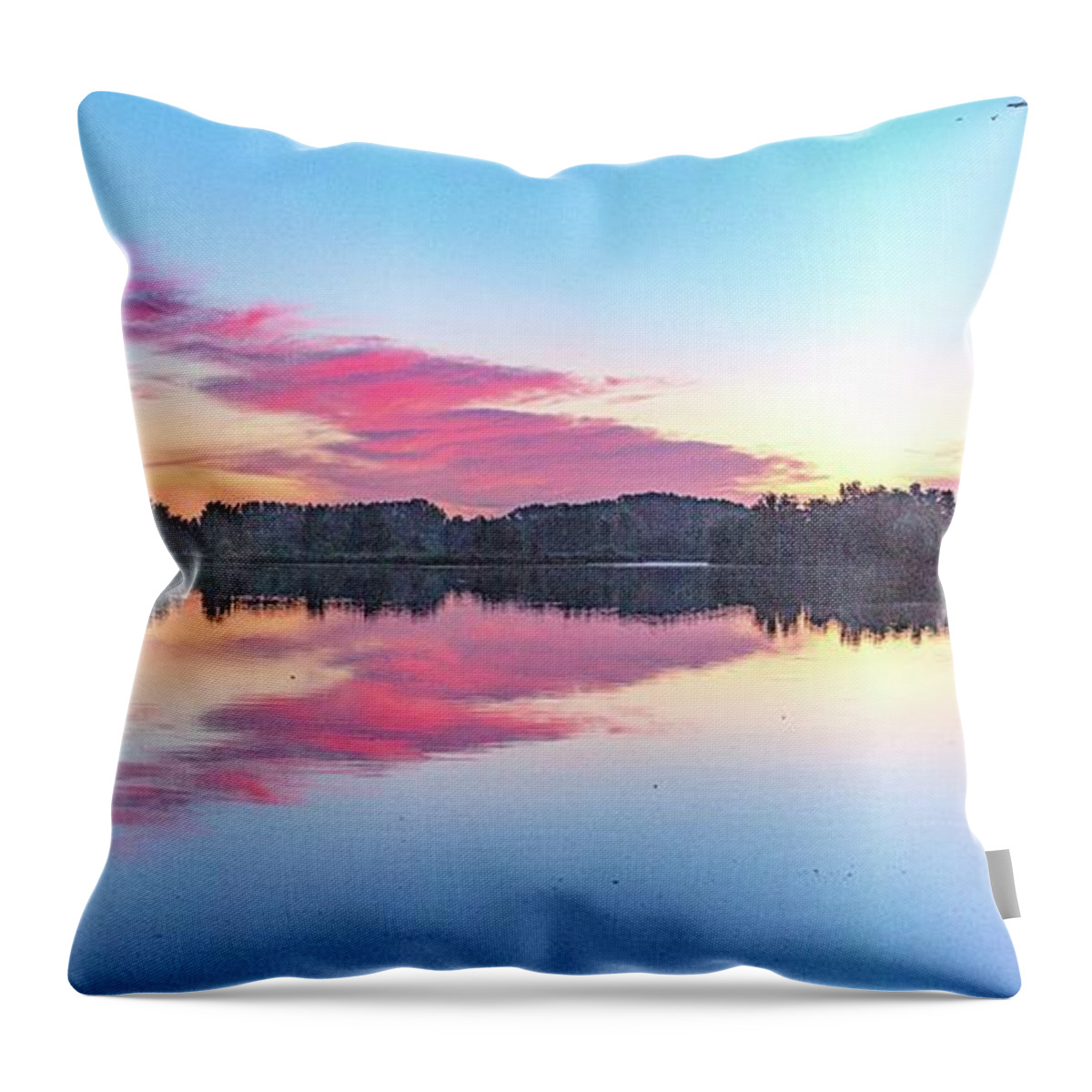 Natuurgebied Het Weegje Throw Pillow featuring the photograph Follow your passion by Casper Cammeraat