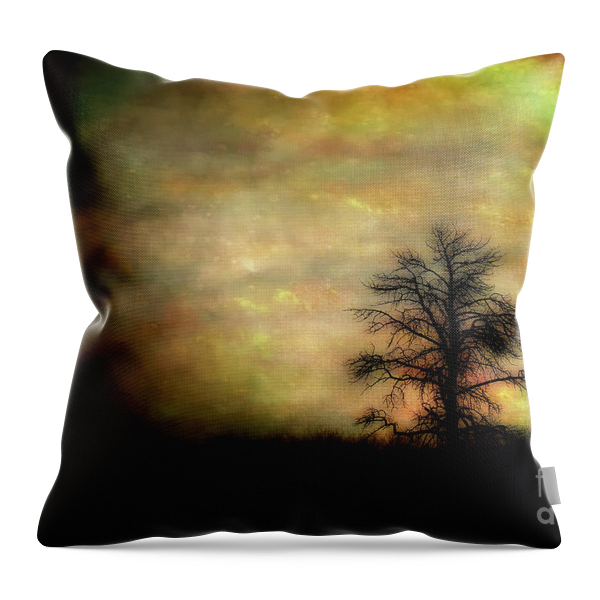 Fine Art Photography Throw Pillow featuring the photograph For the Love of Trees #2, Daniels Park by John Strong
