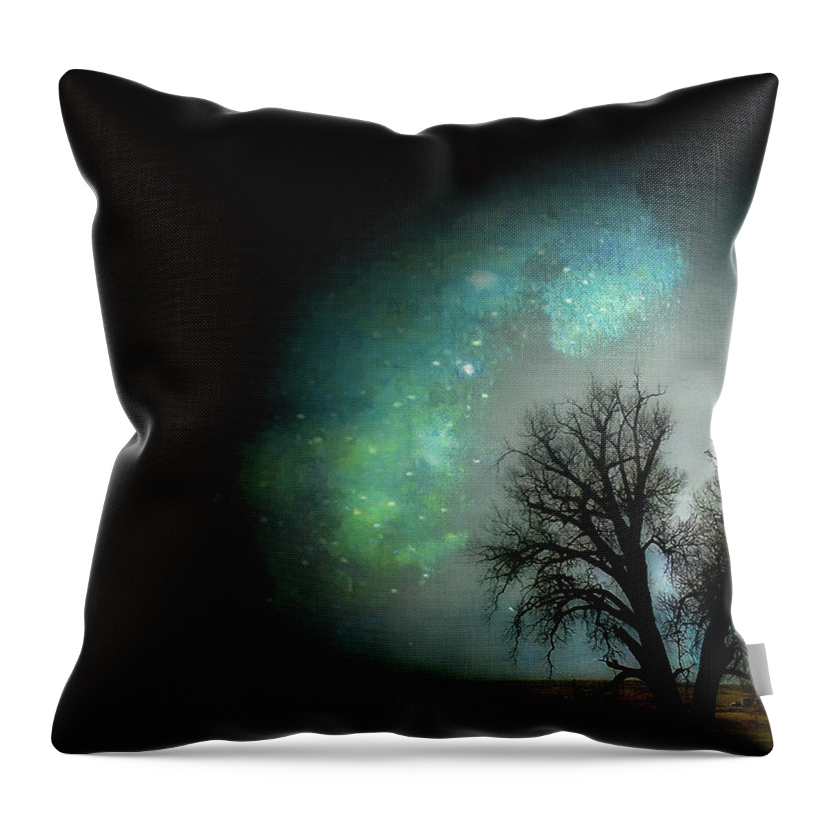 Fine Art Photography Throw Pillow featuring the photograph For the Love of Trees #1, Green Valley Ranch by John Strong