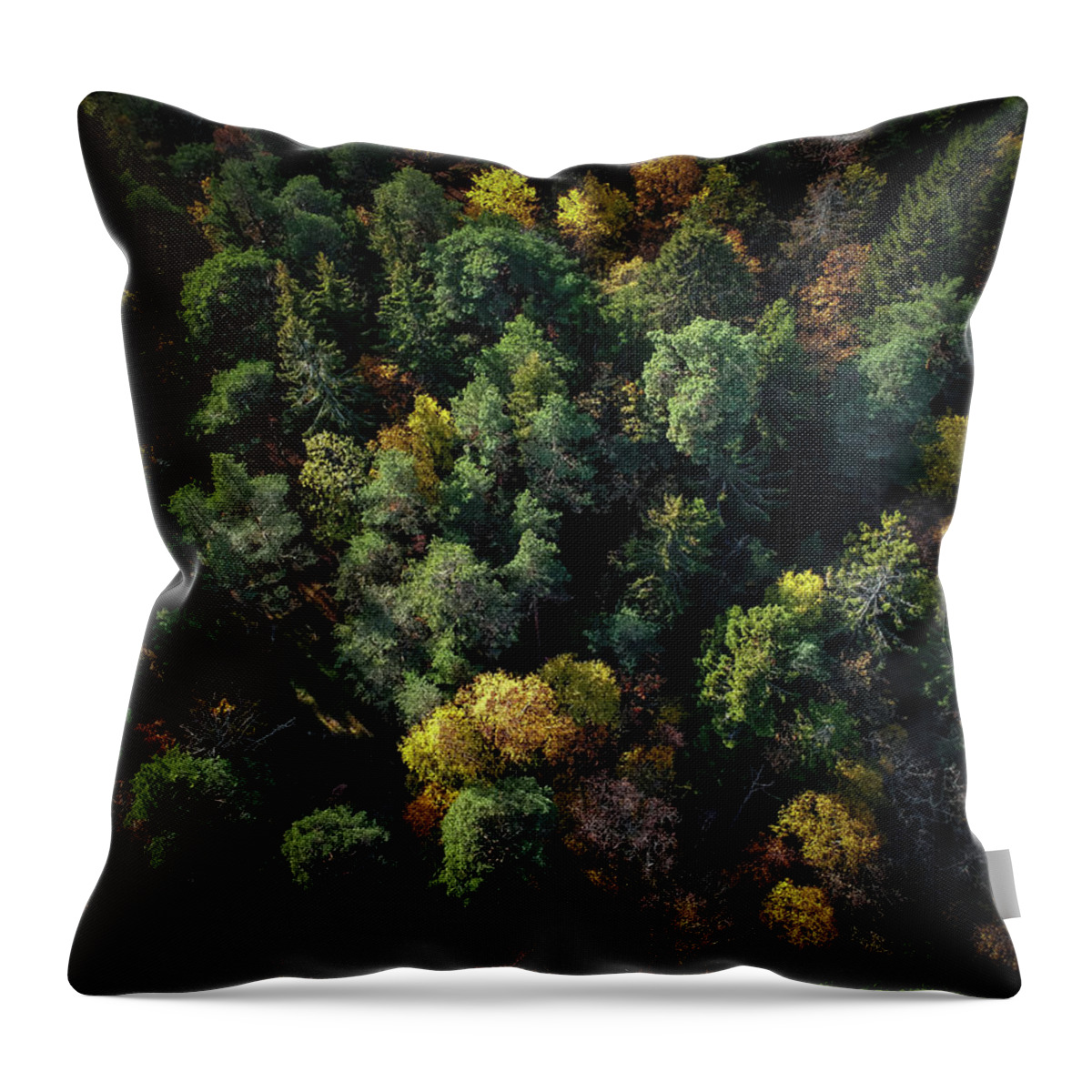 Drone Throw Pillow featuring the photograph Forest Landscape - Aerial Photography by Nicklas Gustafsson