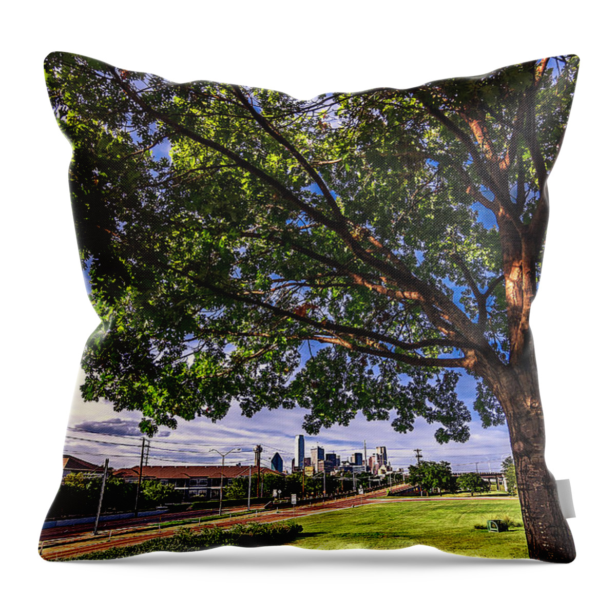 Fractals Throw Pillow featuring the photograph Fractals by Peter Hull