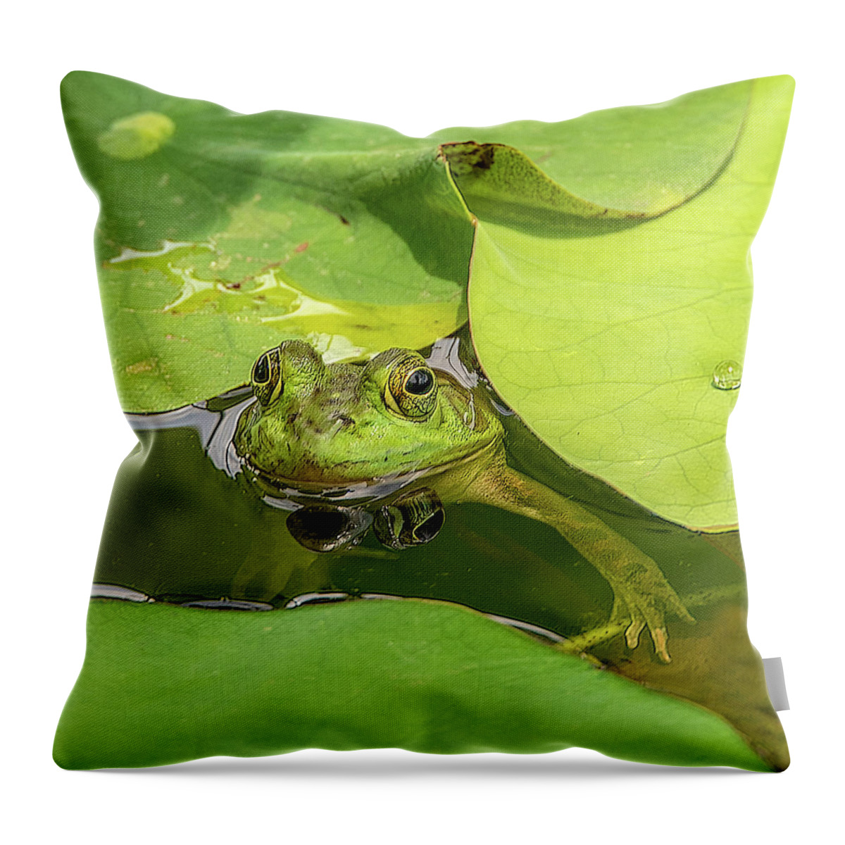 Frog Throw Pillow featuring the photograph Frog by Minnie Gallman