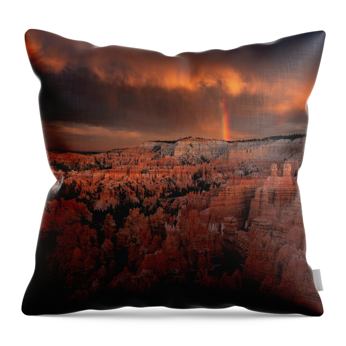 50s Throw Pillow featuring the photograph From The Darkness by Edgars Erglis