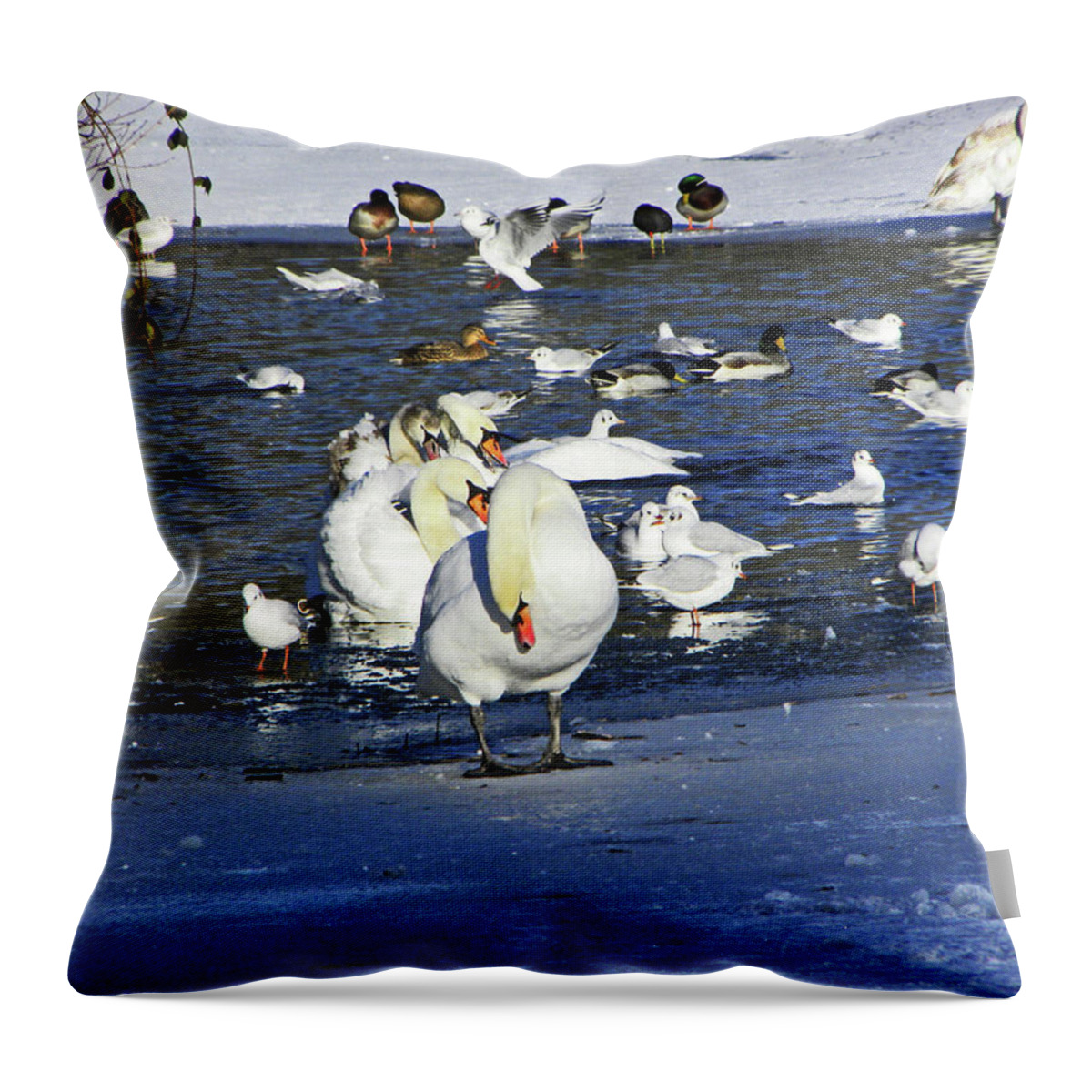 Lake Throw Pillow featuring the photograph Frozen Lake. by Lachlan Main