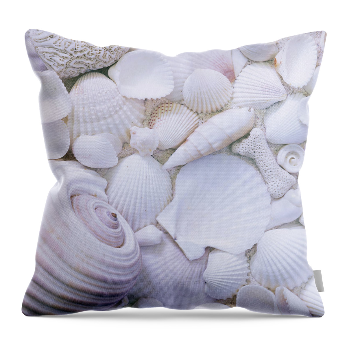 Animal Shell Throw Pillow featuring the photograph Full Frame Of Shells by Hiroshi Higuchi