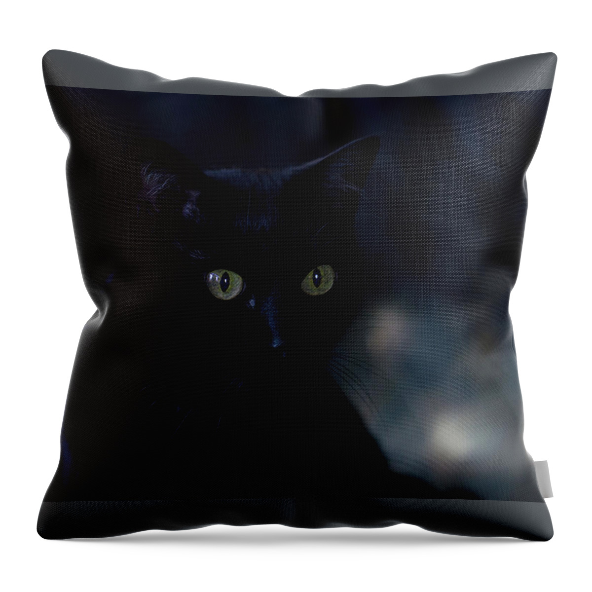 Black Cat Photograph Throw Pillow featuring the photograph Gabriel by Irina ArchAngelSkaya