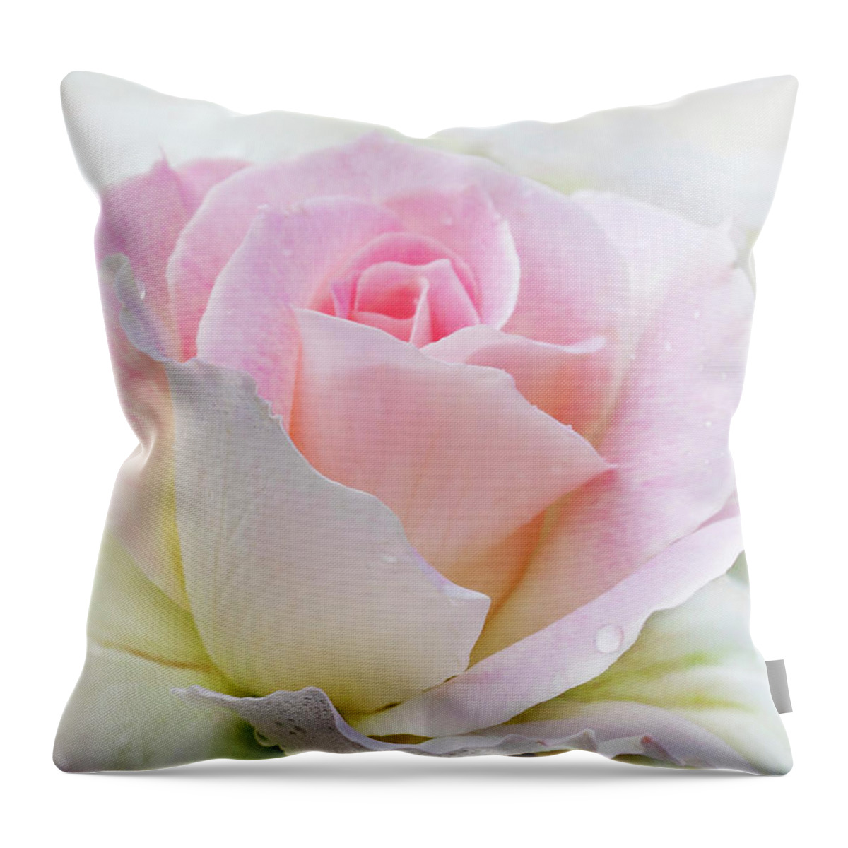 Gentle Beauty Throw Pillow featuring the photograph Gentle Beauty by Patty Colabuono