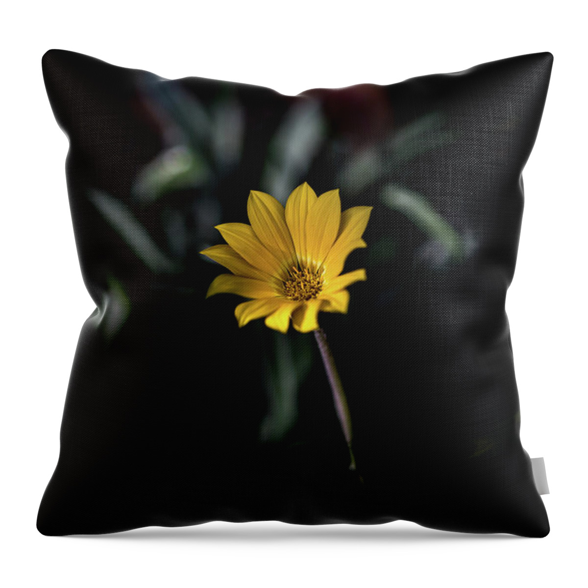 Flora Throw Pillow featuring the photograph Glowing Brightly by Az Jackson