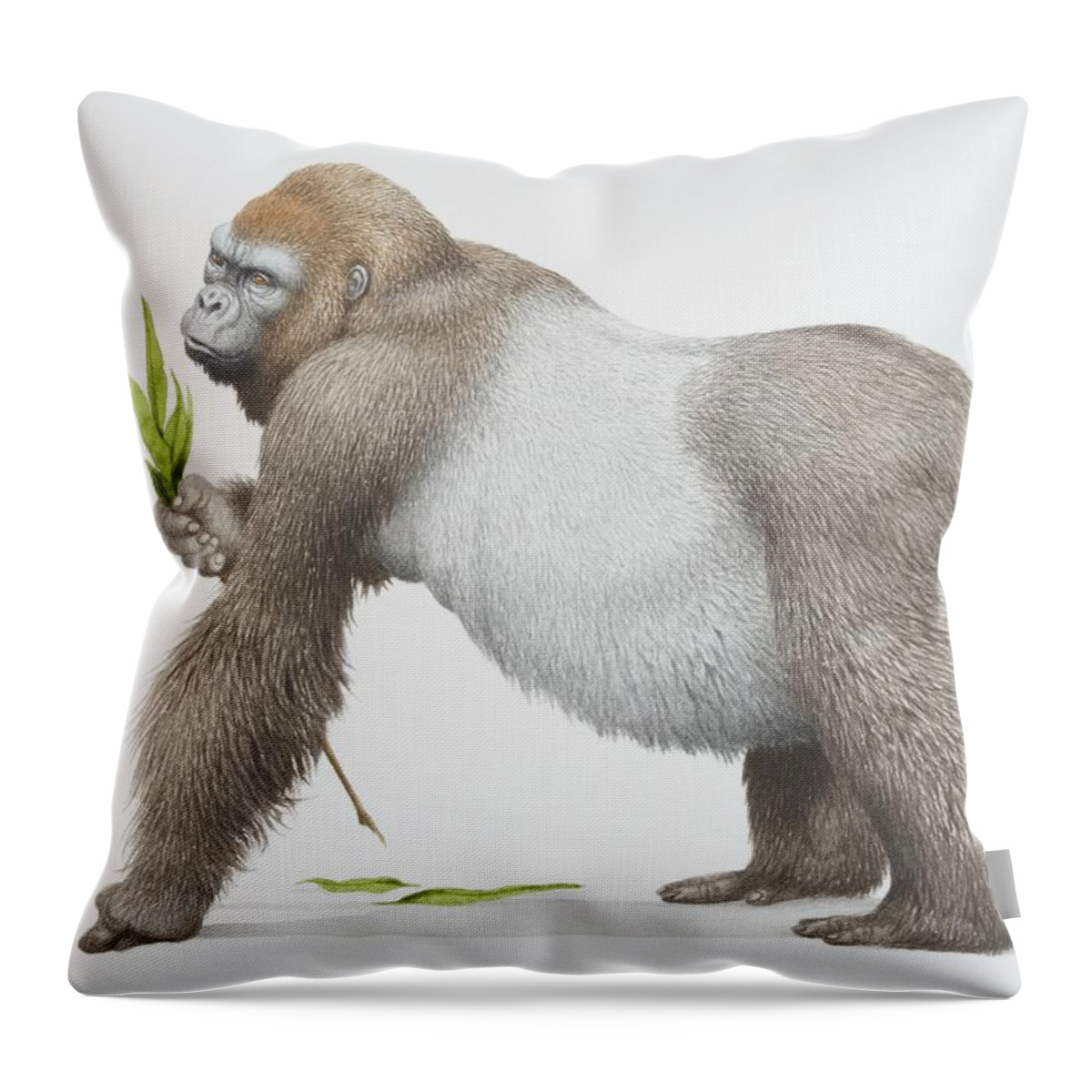 Gorilla Gorilla Gorilla, Western Throw Pillow by Kenneth Lilly 