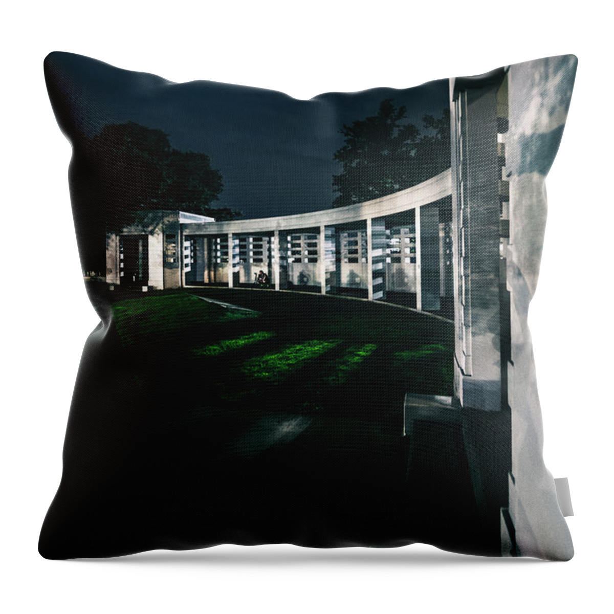 Grassy Throw Pillow featuring the photograph Grassy Knoll by Peter Hull