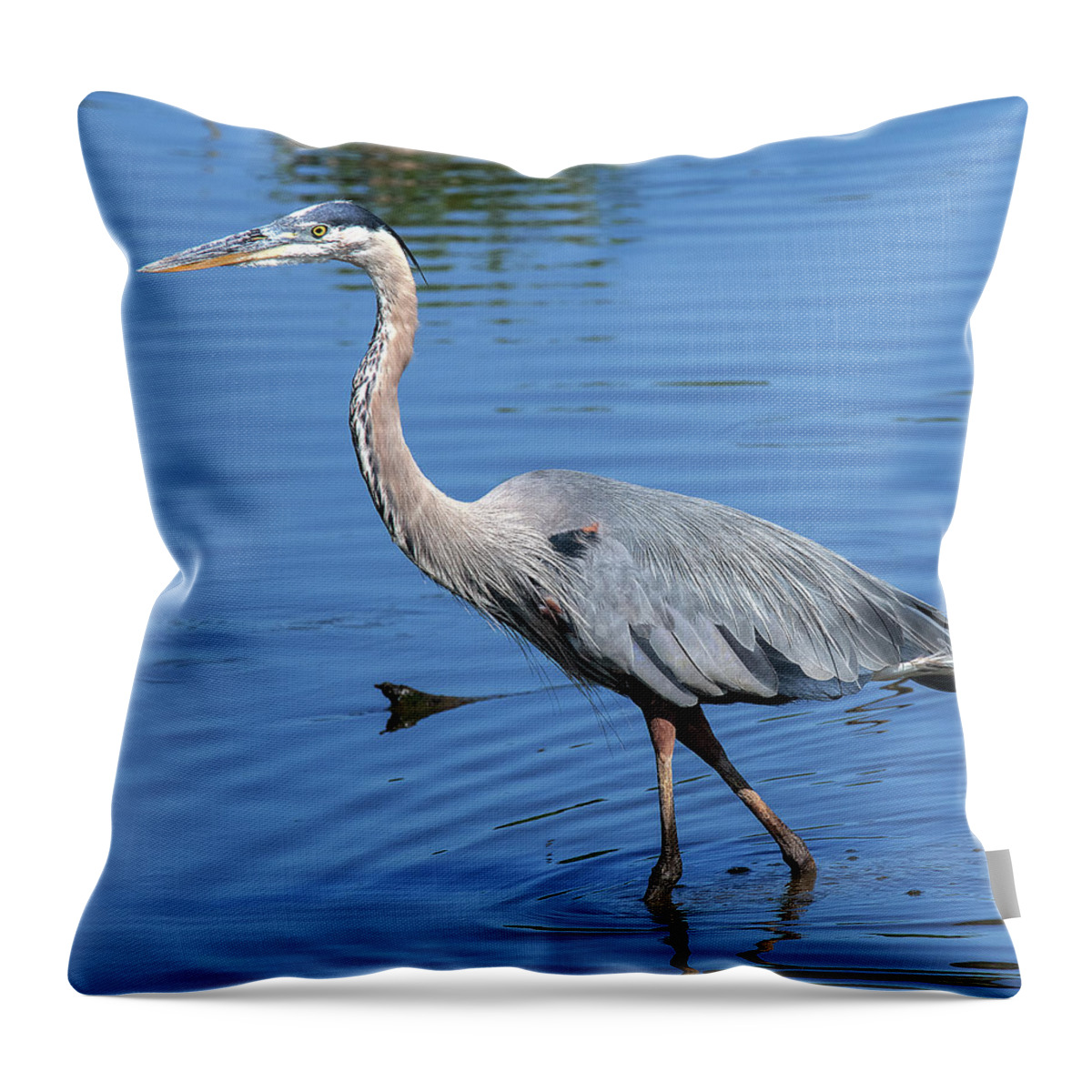 Nature Throw Pillow featuring the photograph Great Blue Heron DMSB0167 by Gerry Gantt
