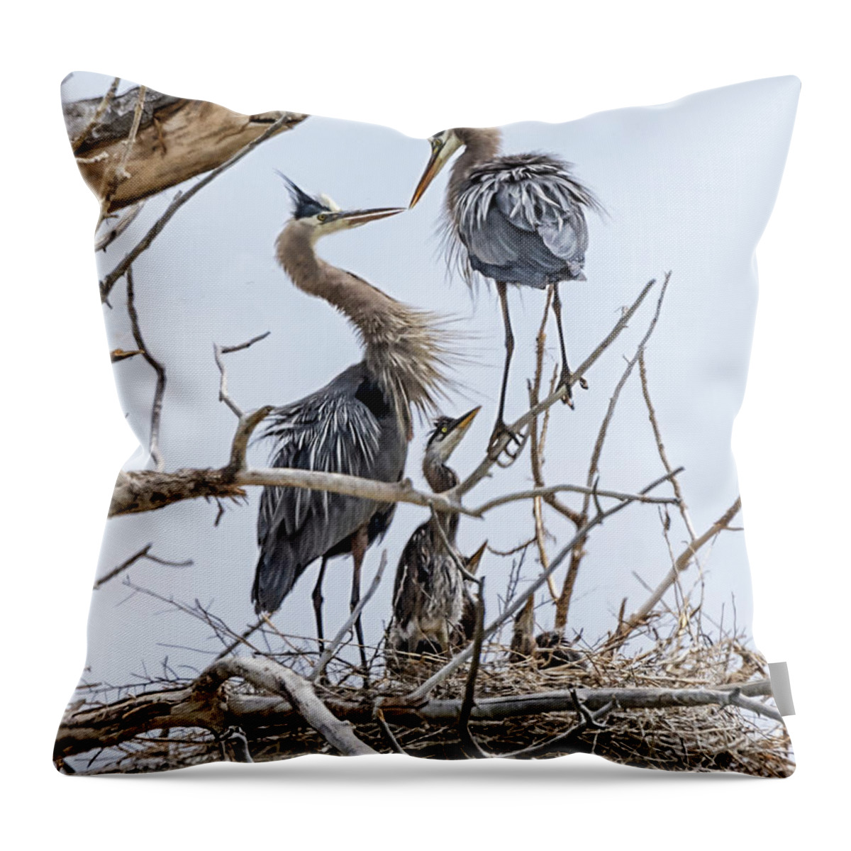 Stillwater Wildlife Refuge Throw Pillow featuring the photograph Great Blue Heron Rookery 4 by Rick Mosher