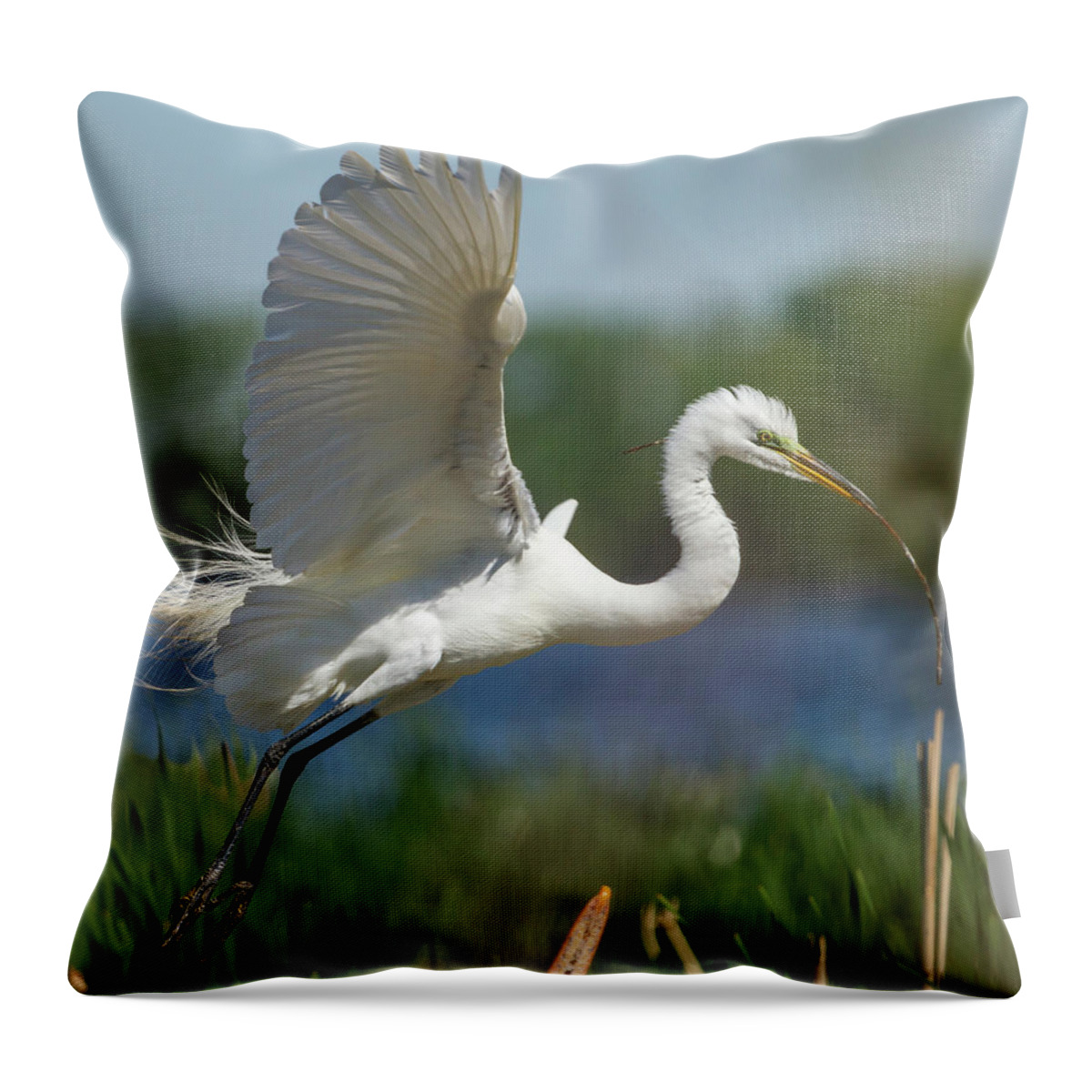 Great Egret Throw Pillow featuring the photograph Great Egret 2014-1 by Thomas Young
