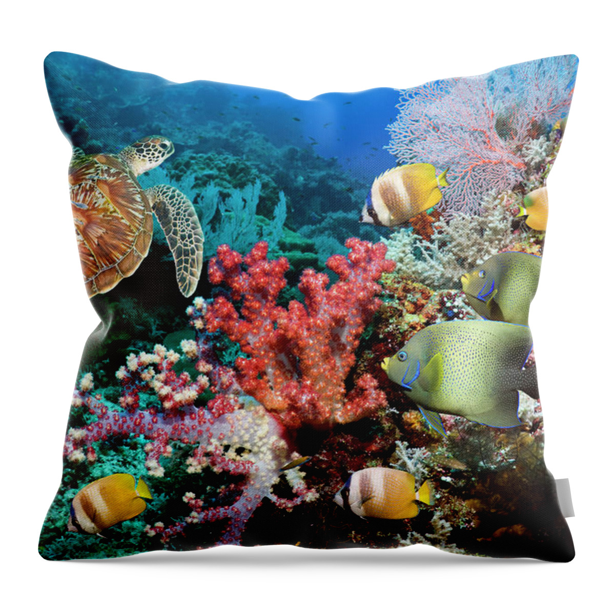 Tranquility Throw Pillow featuring the photograph Green Sea Turtle Over Coral Reef by Georgette Douwma