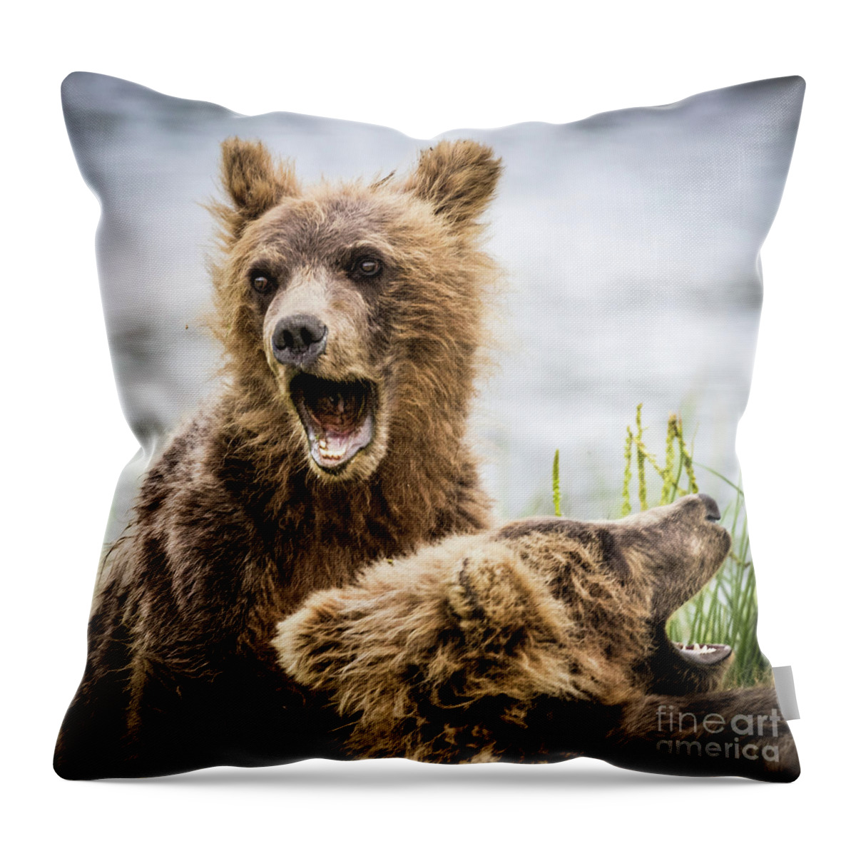 Grizzly Throw Pillow featuring the photograph Grizzly cubs looking for their mum by Lyl Dil Creations