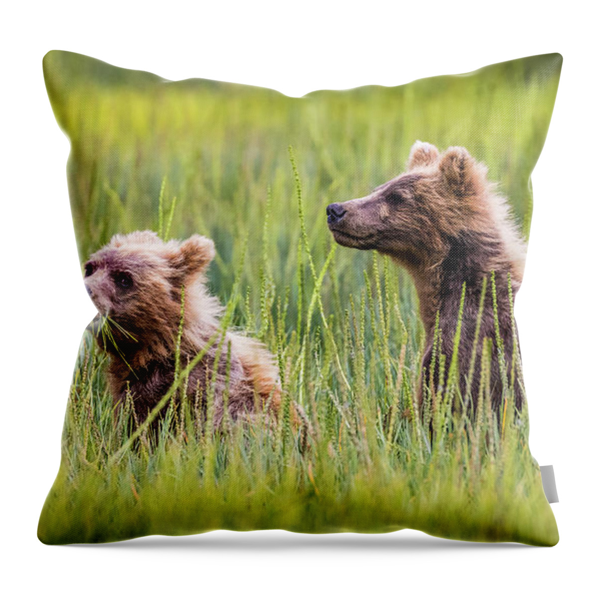 Grizzly Throw Pillow featuring the photograph Grizzly cubs by Lyl Dil Creations
