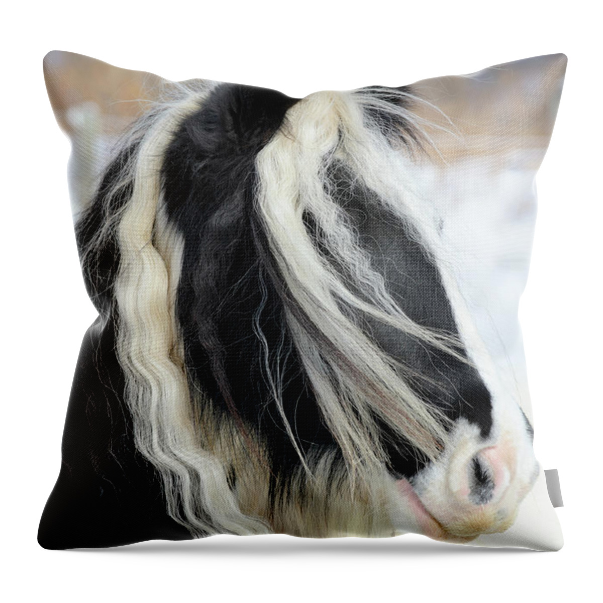https://render.fineartamerica.com/images/rendered/default/throw-pillow/images/artworkimages/medium/2/gypsy-vanner-horse-head-shot-long-mane-catnap72.jpg?&targetx=0&targety=-120&imagewidth=479&imageheight=719&modelwidth=479&modelheight=479&backgroundcolor=939190&orientation=0&producttype=throwpillow-14-14